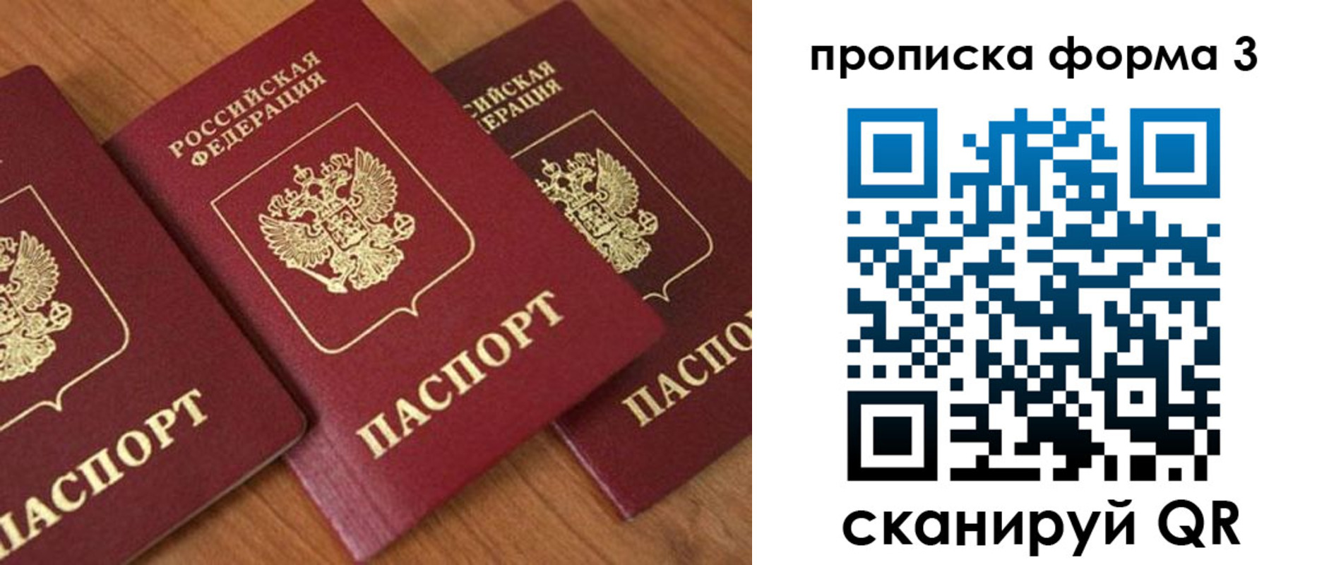 прописка в квартире в Мытищах